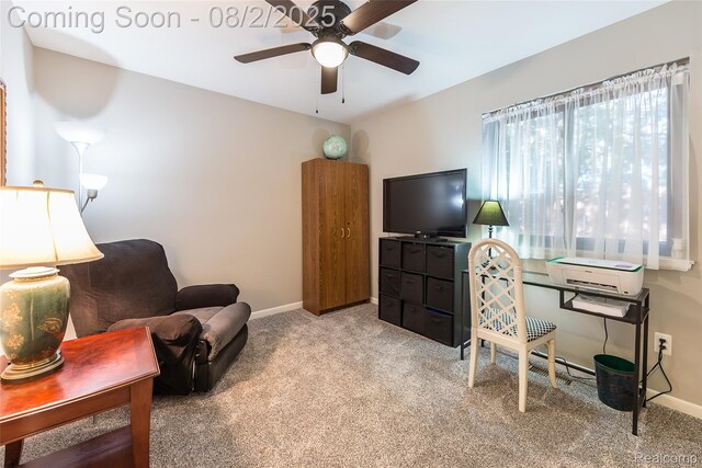 978 Alpine Dr, Brighton, MI 48116 - photo 16