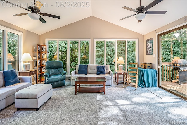 978 Alpine Dr, Brighton, MI 48116 - photo 12