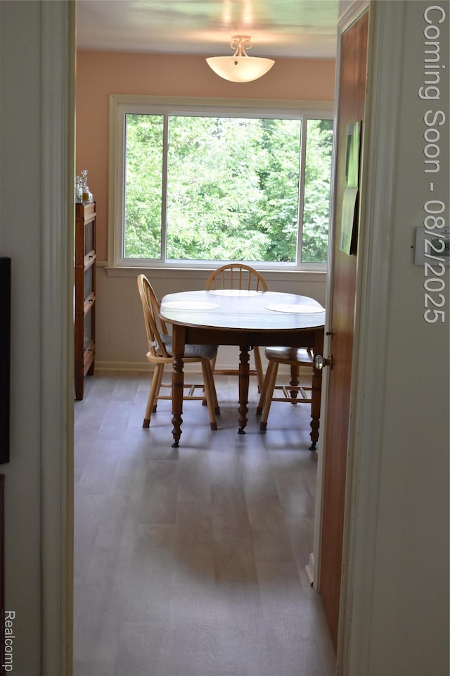 1903 Crestland St, Ann Arbor, MI 48104 - photo 15