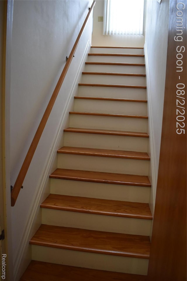 1903 Crestland St, Ann Arbor, MI 48104 - photo 24