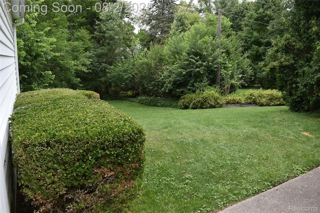1903 Crestland St, Ann Arbor, MI 48104 - photo 33