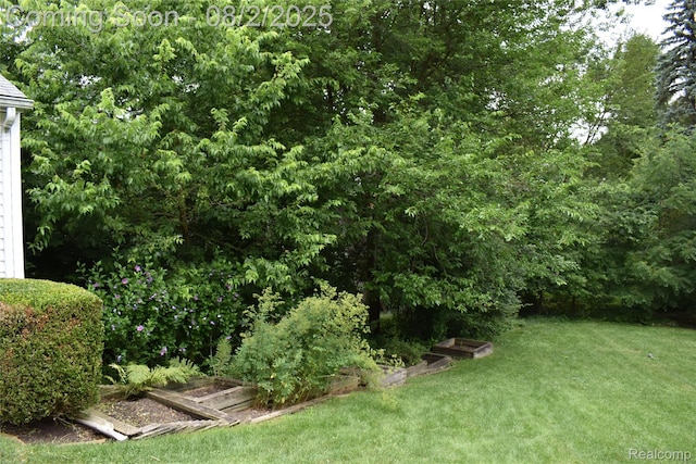 1903 Crestland St, Ann Arbor, MI 48104 - photo 34