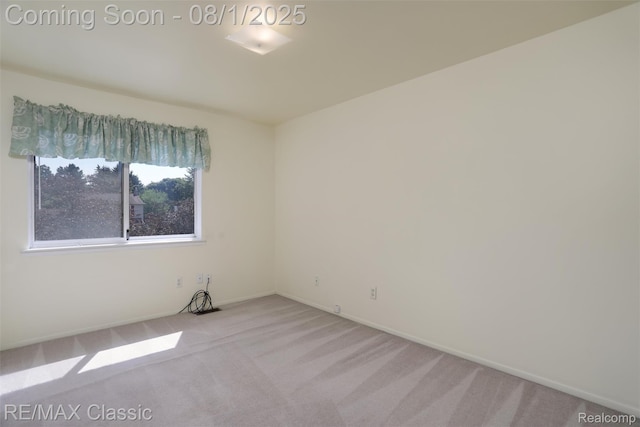 3570 Beech Dr, Ann Arbor, MI 48197 - photo 21