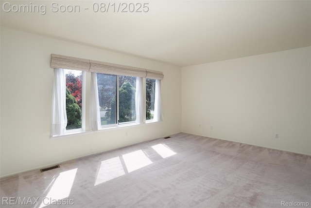 3570 Beech Dr, Ann Arbor, MI 48197 - photo 8