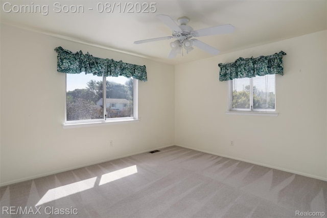 3570 Beech Dr, Ann Arbor, MI 48197 - photo 20