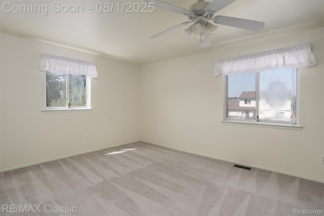 3570 Beech Dr, Ann Arbor, MI 48197 - photo 18