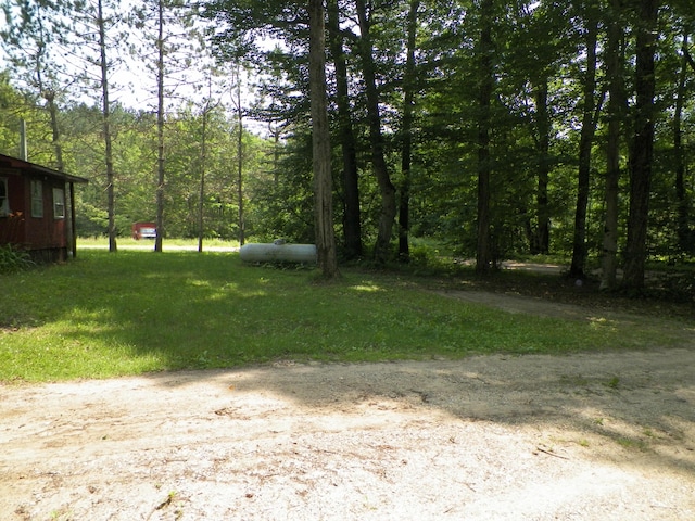 611 Yosemite Rd, Cadillac, MI 49601 - photo 3
