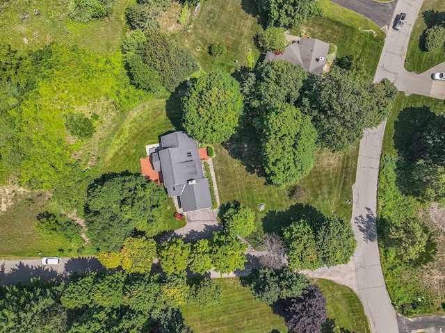 9771 E Avondale Ln, Traverse City, MI 49684 - photo 13