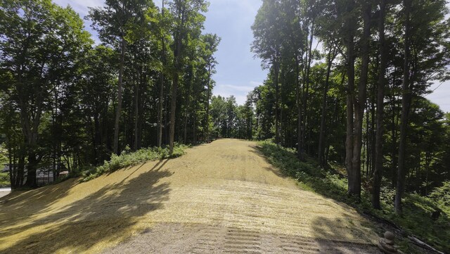 2205 Devlin Rd, Central Lake, MI 49622 - photo 31