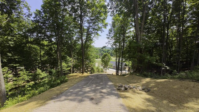2205 Devlin Rd, Central Lake, MI 49622 - photo 35