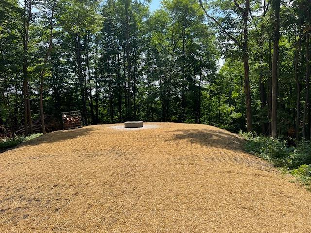 2205 Devlin Rd, Central Lake, MI 49622 - photo 12