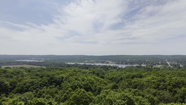 2205 Devlin Rd, Central Lake, MI 49622 - photo 33