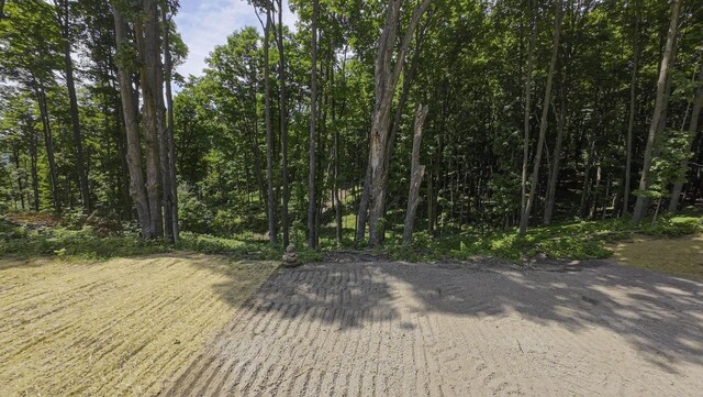 2205 Devlin Rd, Central Lake, MI 49622 - photo 41
