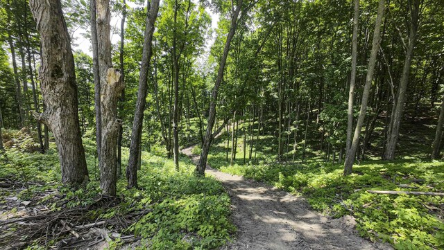 2205 Devlin Rd, Central Lake, MI 49622 - photo 42