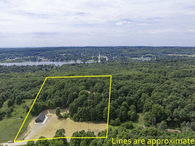 2205 Devlin Rd, Central Lake, MI 49622 - photo 8