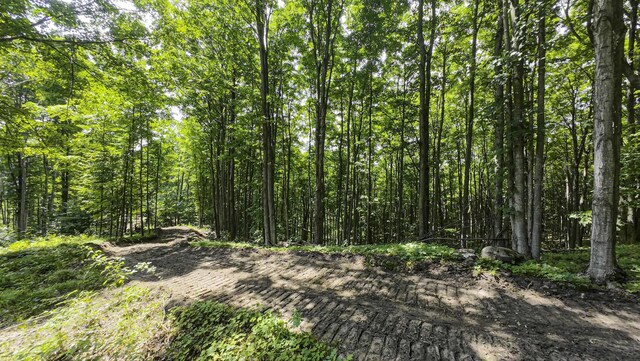 2205 Devlin Rd, Central Lake, MI 49622 - photo 44