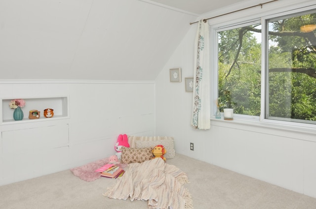 520 Center Dr, Ann Arbor, MI 48103 - photo 40