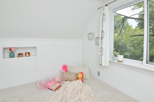 520 Center Dr, Ann Arbor, MI 48103 - photo 41