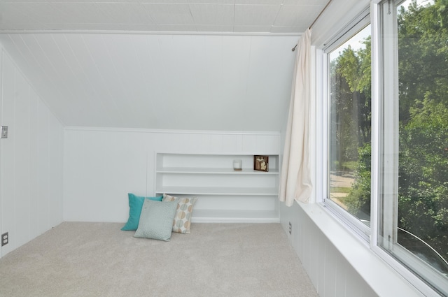 520 Center Dr, Ann Arbor, MI 48103 - photo 48