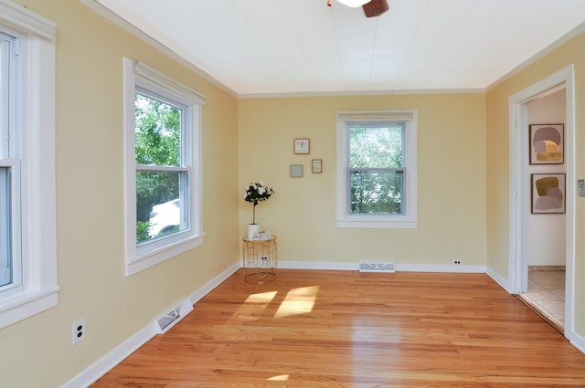 520 Center Dr, Ann Arbor, MI 48103 - photo 10