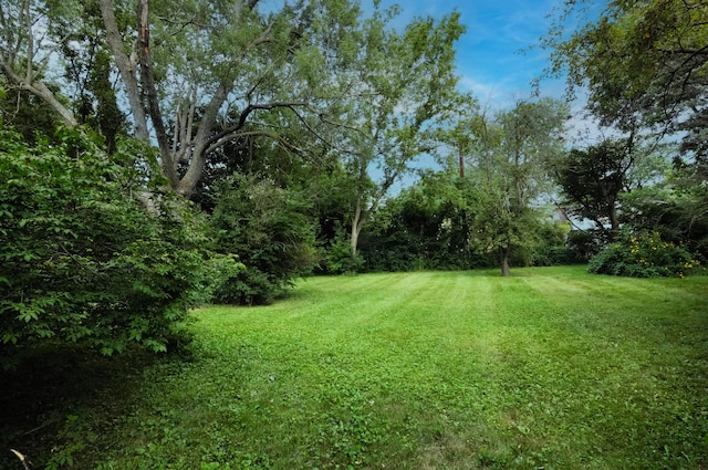 520 Center Dr, Ann Arbor, MI 48103 - photo 58