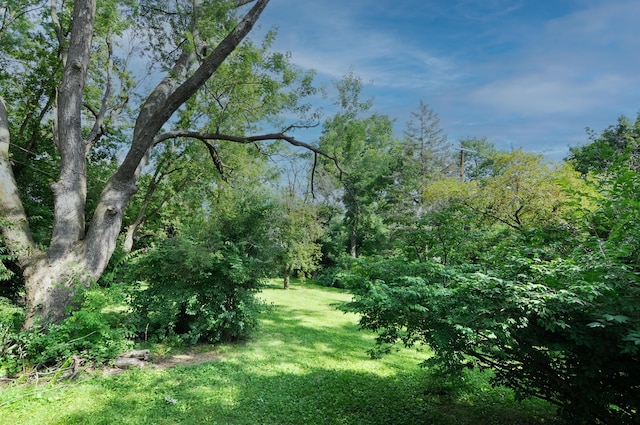 520 Center Dr, Ann Arbor, MI 48103 - photo 59