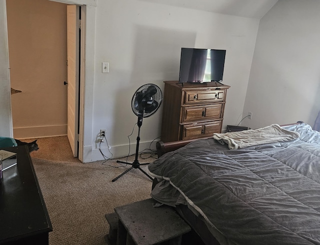 437 N Center St, Hartford, MI 49057 - photo 21