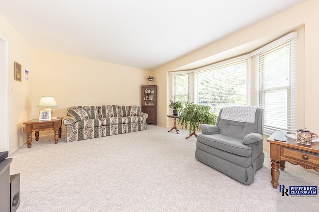 9650 Bobwhite Ct, Plymouth, MI 48170 - photo 8