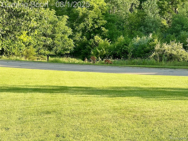 6435 Thompson Pond Dr, Whitmore Lake, MI 48189 - photo 39