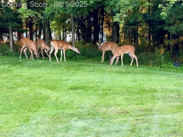 6435 Thompson Pond Dr, Whitmore Lake, MI 48189 - photo 44