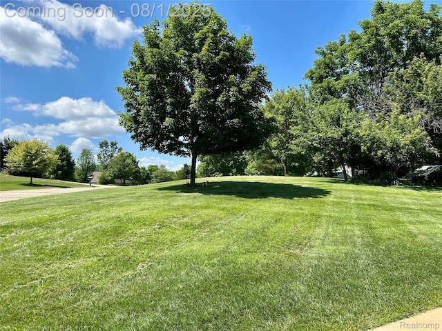 6435 Thompson Pond Dr, Whitmore Lake, MI 48189 - photo 40