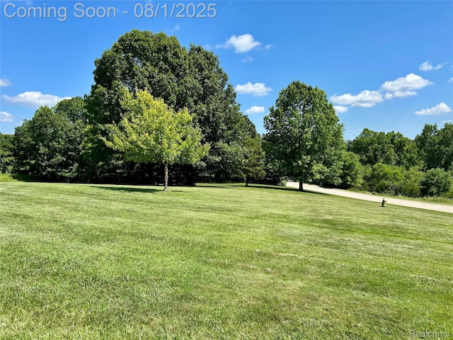 6435 Thompson Pond Dr, Whitmore Lake, MI 48189 - photo 41