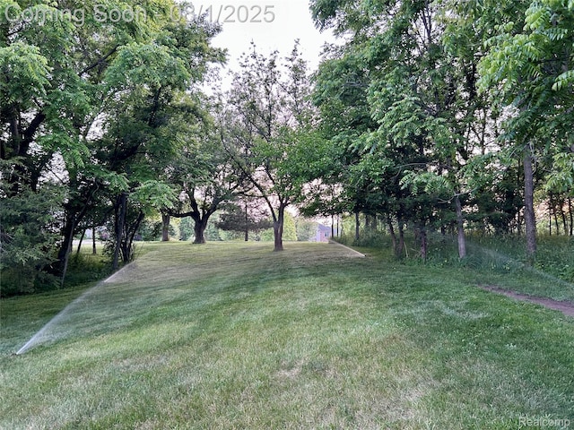 6435 Thompson Pond Dr, Whitmore Lake, MI 48189 - photo 43