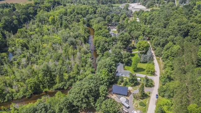 161 E Sauble Dr, Michigan, MI 49411 - photo 27