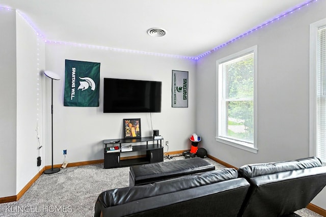 15957 Orchard Point Dr, Spring Lake, MI 49456 - photo 42