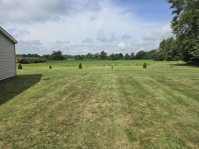 518 S Main St, Waldron, MI 49288 - photo 8