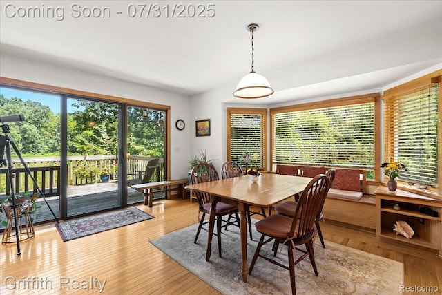 2493 Swarthout Rd, Pinckney, MI 48169 - photo 9