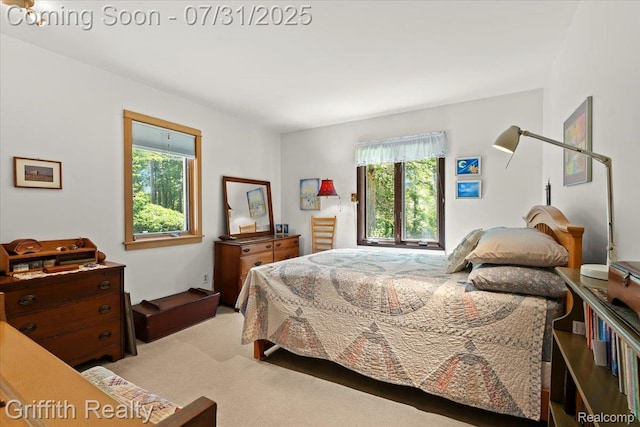 2493 Swarthout Rd, Pinckney, MI 48169 - photo 21