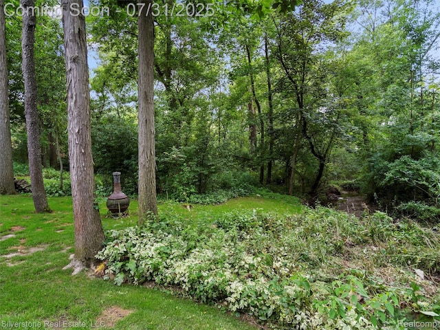 1185 Bear Creek Ct, Rochester, MI 48306 - photo 16