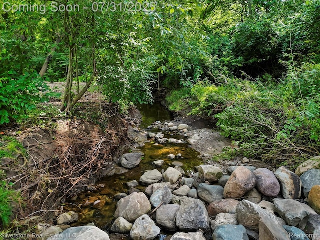 1185 Bear Creek Ct, Rochester, MI 48306 - photo 23