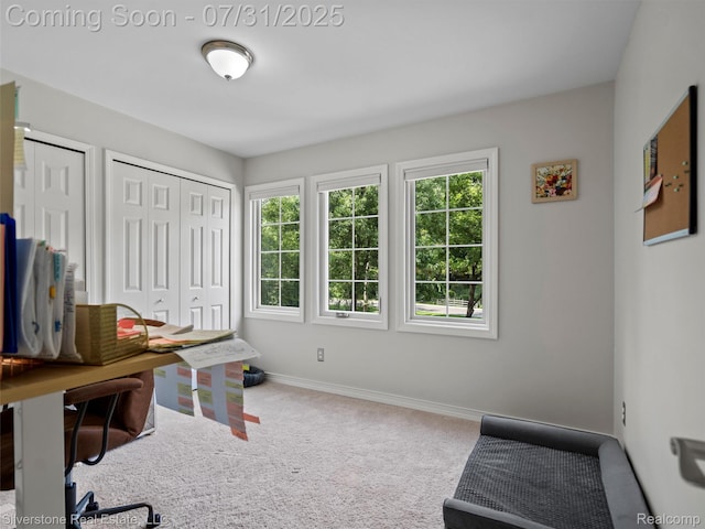 1185 Bear Creek Ct, Rochester, MI 48306 - photo 81