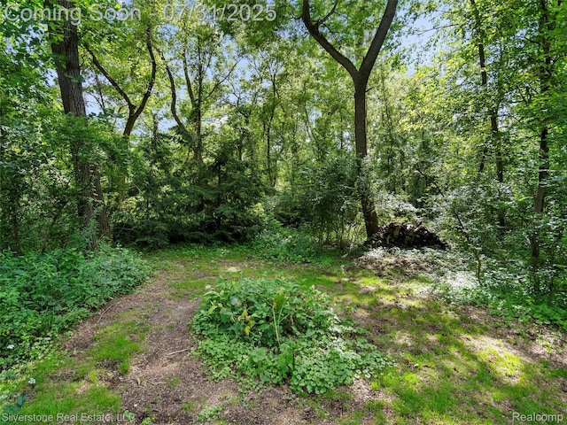 1185 Bear Creek Ct, Rochester, MI 48306 - photo 19
