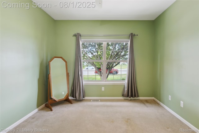 2318 Crossings Cir, Davison, MI 48423 - photo 24
