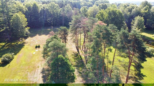 6345 S Graham Rd, Saint Charles, MI 48655 - photo 59
