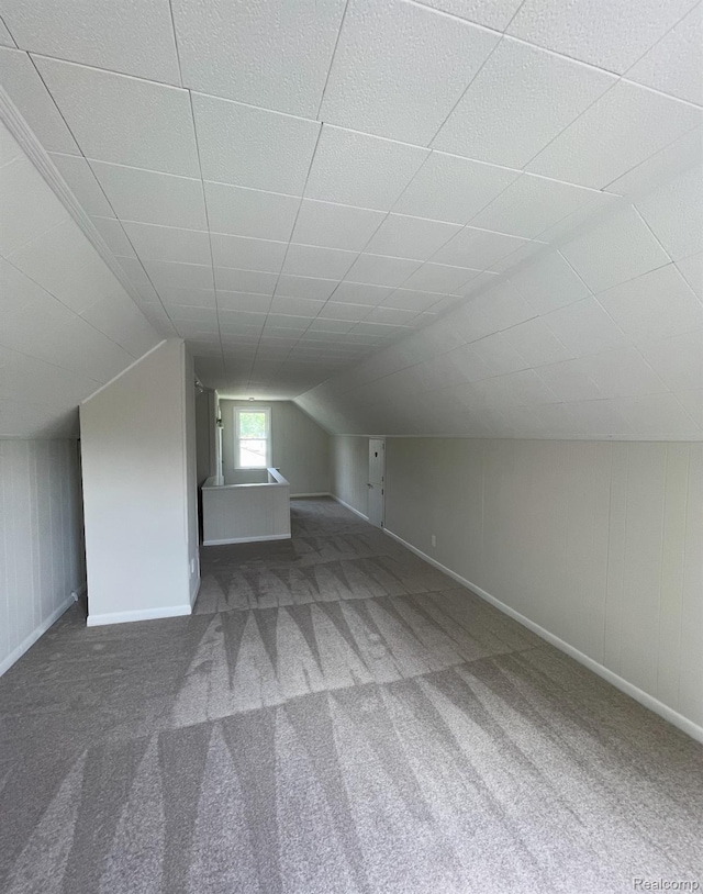 1076 Evelyn Ave, Ypsilanti, MI 48198 - photo 22