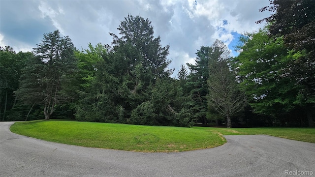 10040 Stinchfield Woods Rd, Pinckney, MI 48169 - photo 7