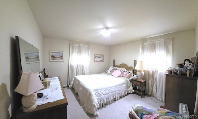 10040 Stinchfield Woods Rd, Pinckney, MI 48169 - photo 32