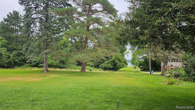 10040 Stinchfield Woods Rd, Pinckney, MI 48169 - photo 42