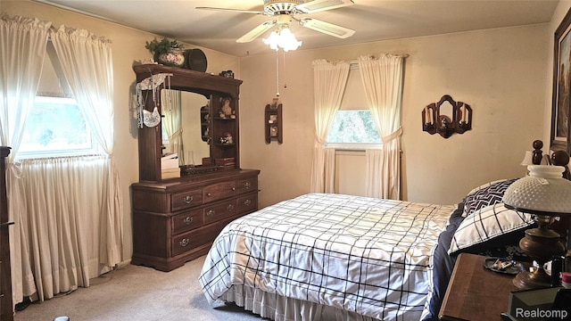 10040 Stinchfield Woods Rd, Pinckney, MI 48169 - photo 29