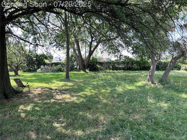 27649 Milton Ave, Warren, MI 48092 - photo 13